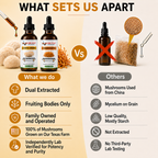 Energy & Endurance Bundle