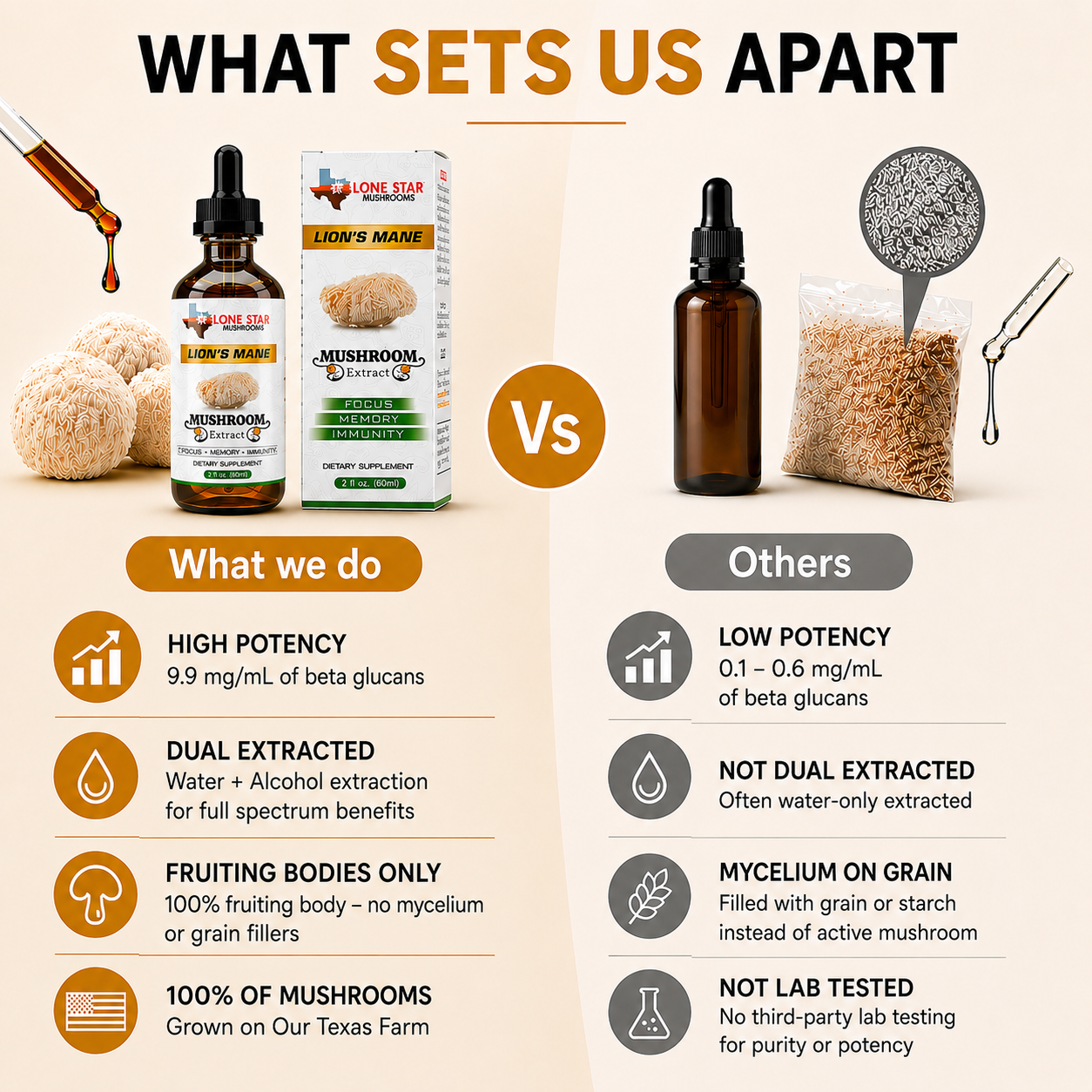 Unlock Your Brains Full Potential