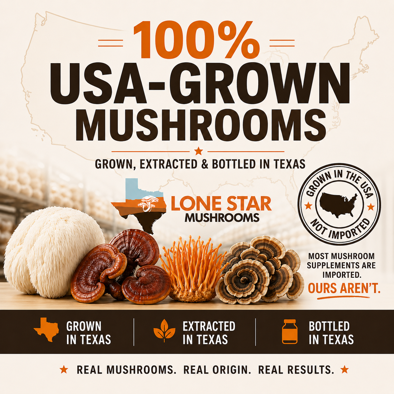 Bundle: Lions Mane, Turkey Tail, Reishi Extract