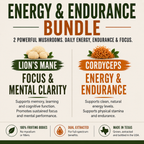 Energy & Endurance Bundle