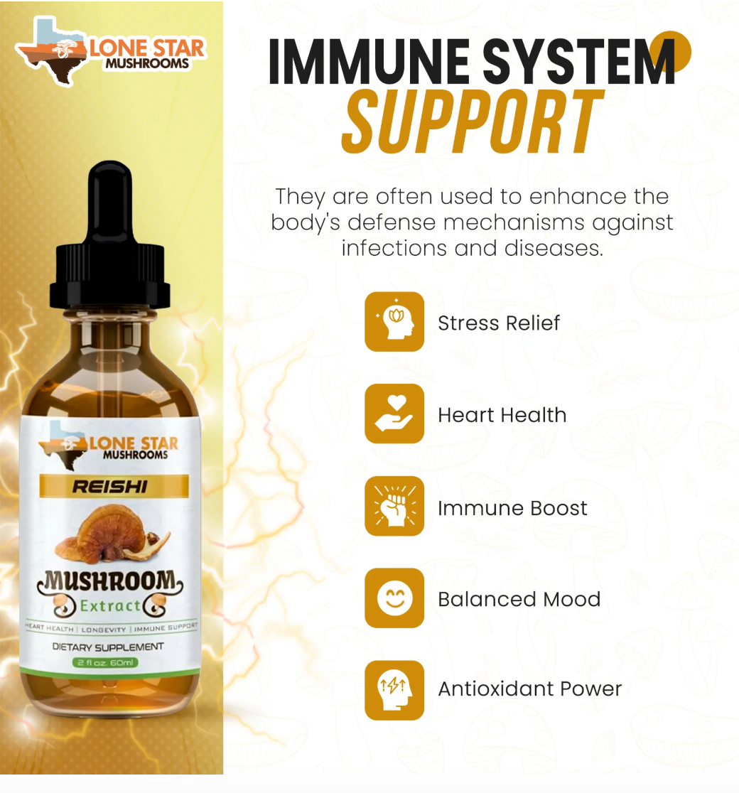 Sleep & Recovery Support Bundle