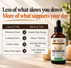 Lion's Mane Extract