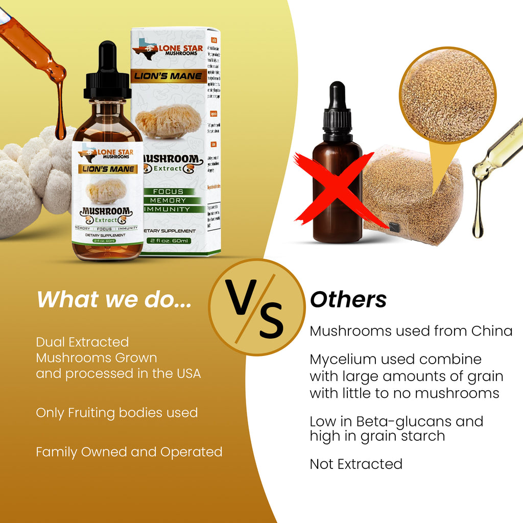 Bundle: Lion's Mane + Reishi Mushroom Extract