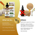 Bundle: Lion's Mane + Reishi Mushroom Extract