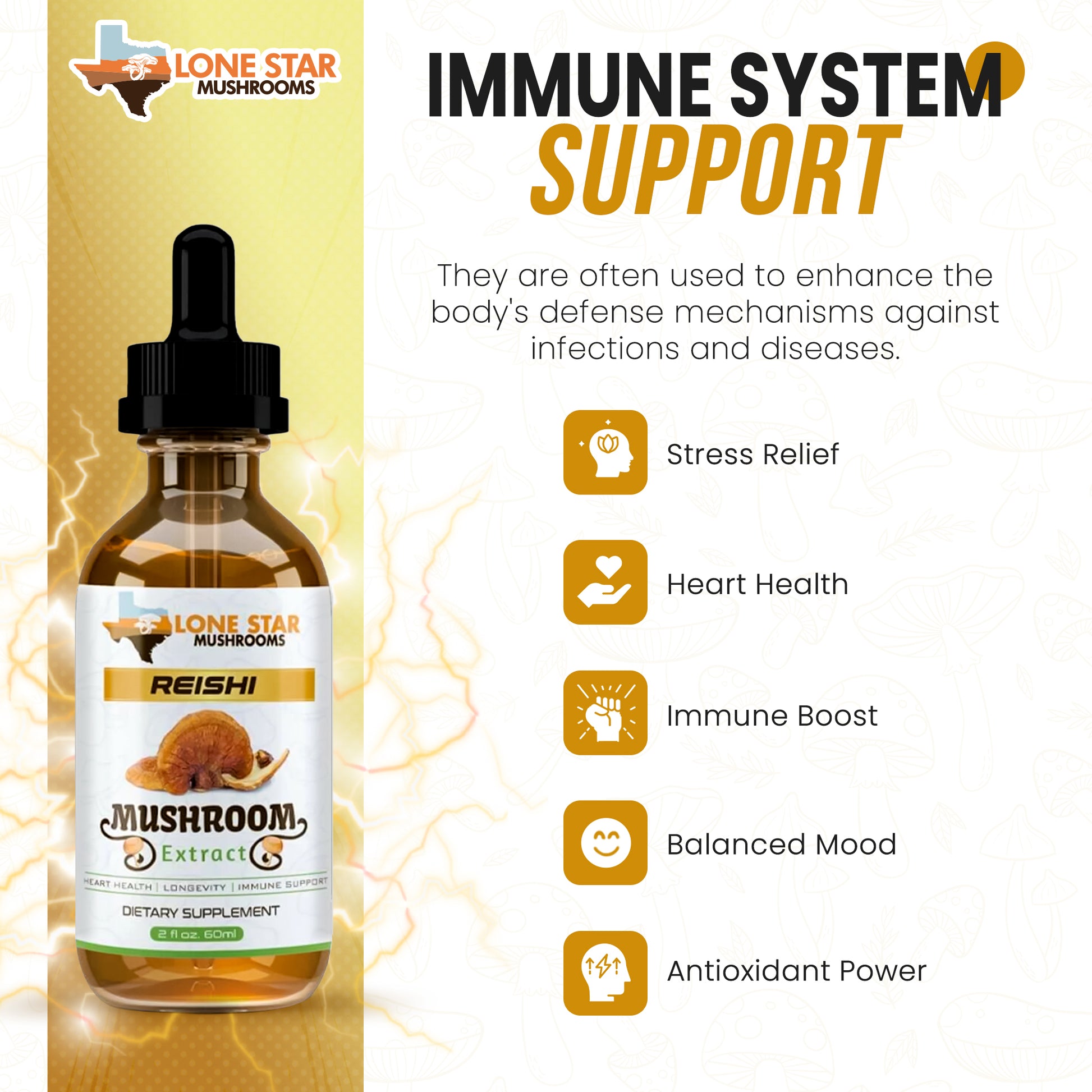 reishi mushroom immune system support