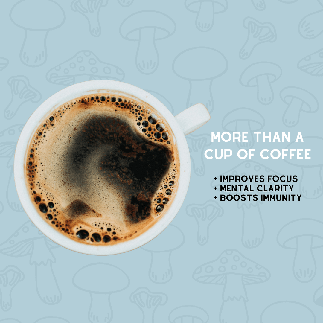 Lion's Mane Mushroom Coffee