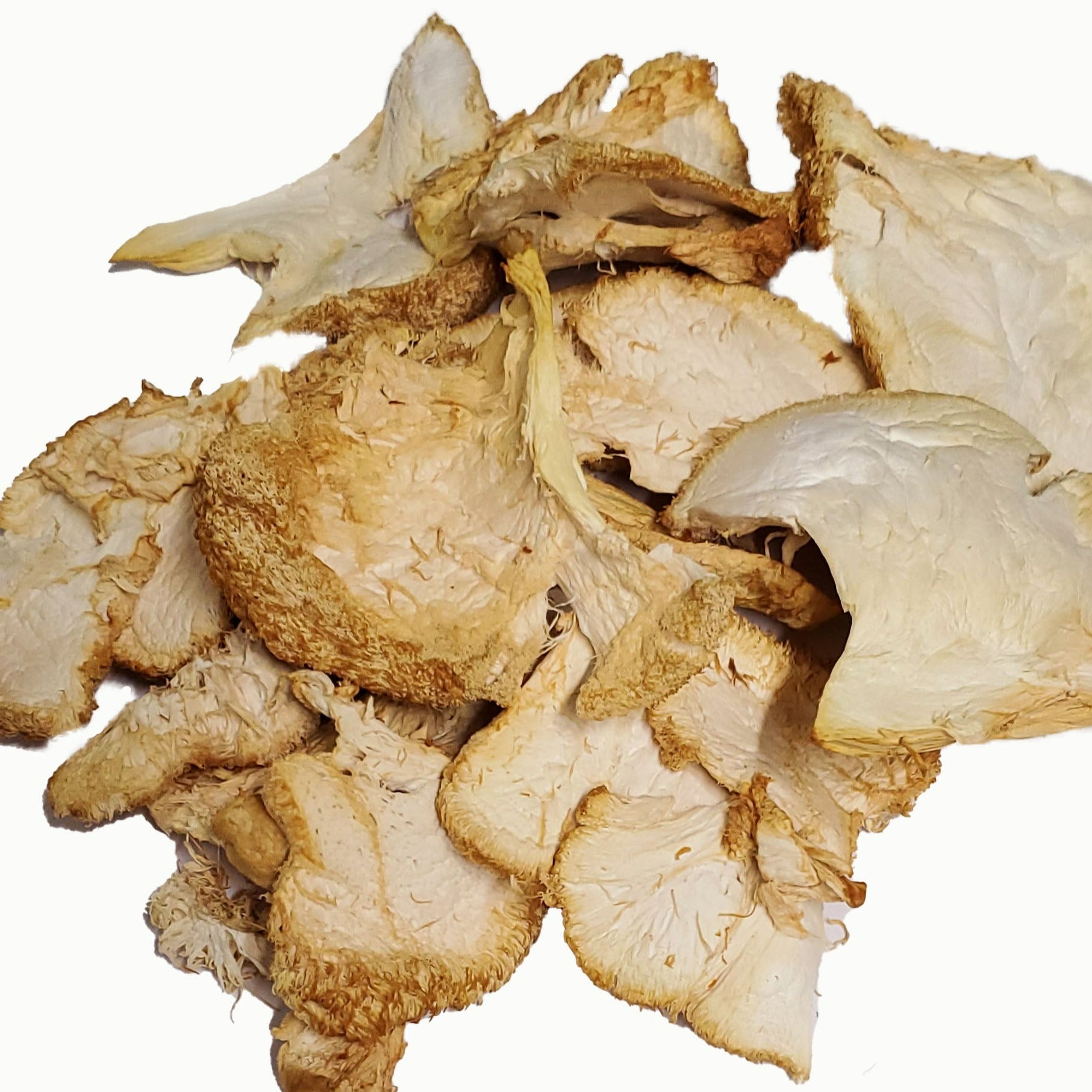 Dried Lions Mane Mushroom