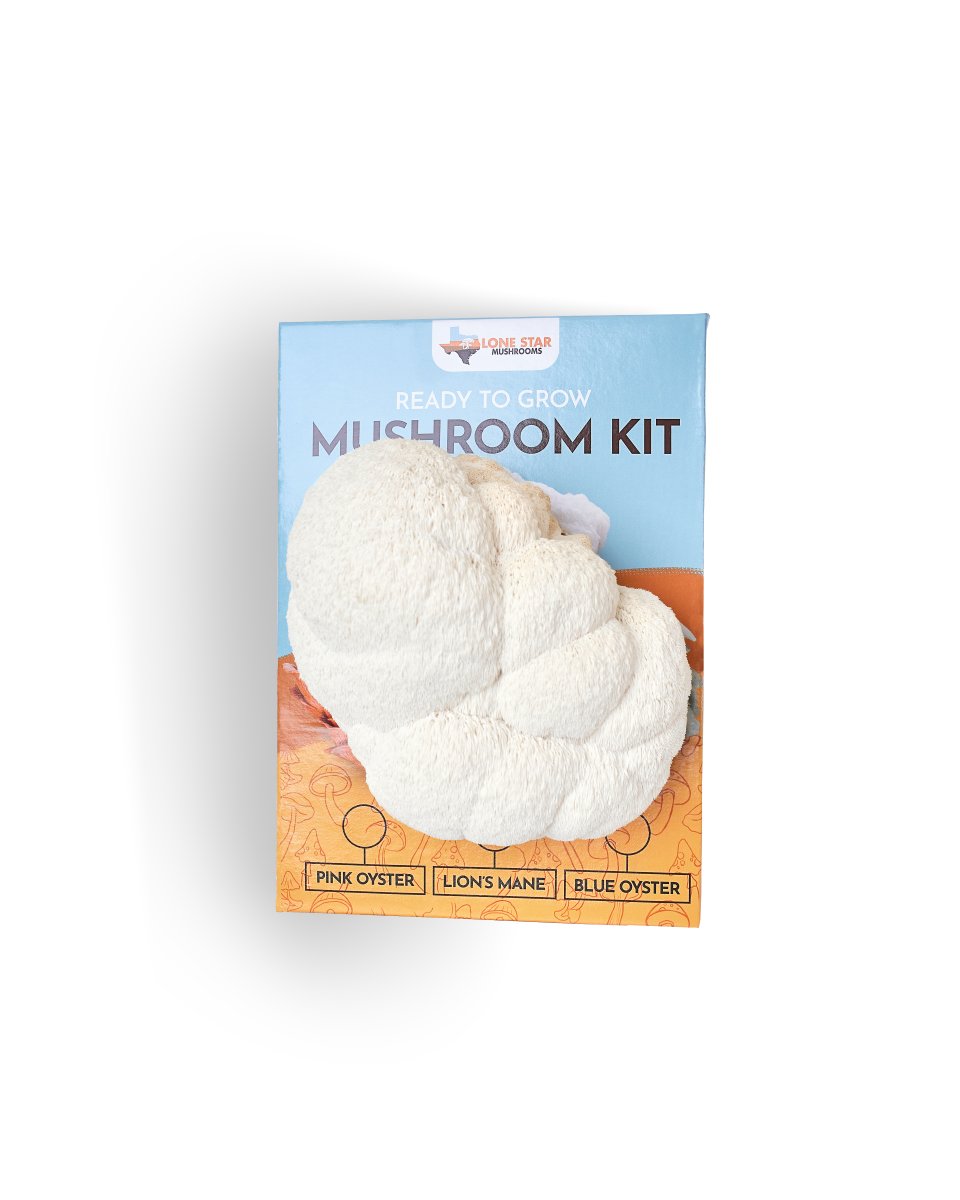 Mushroom Grow Kit