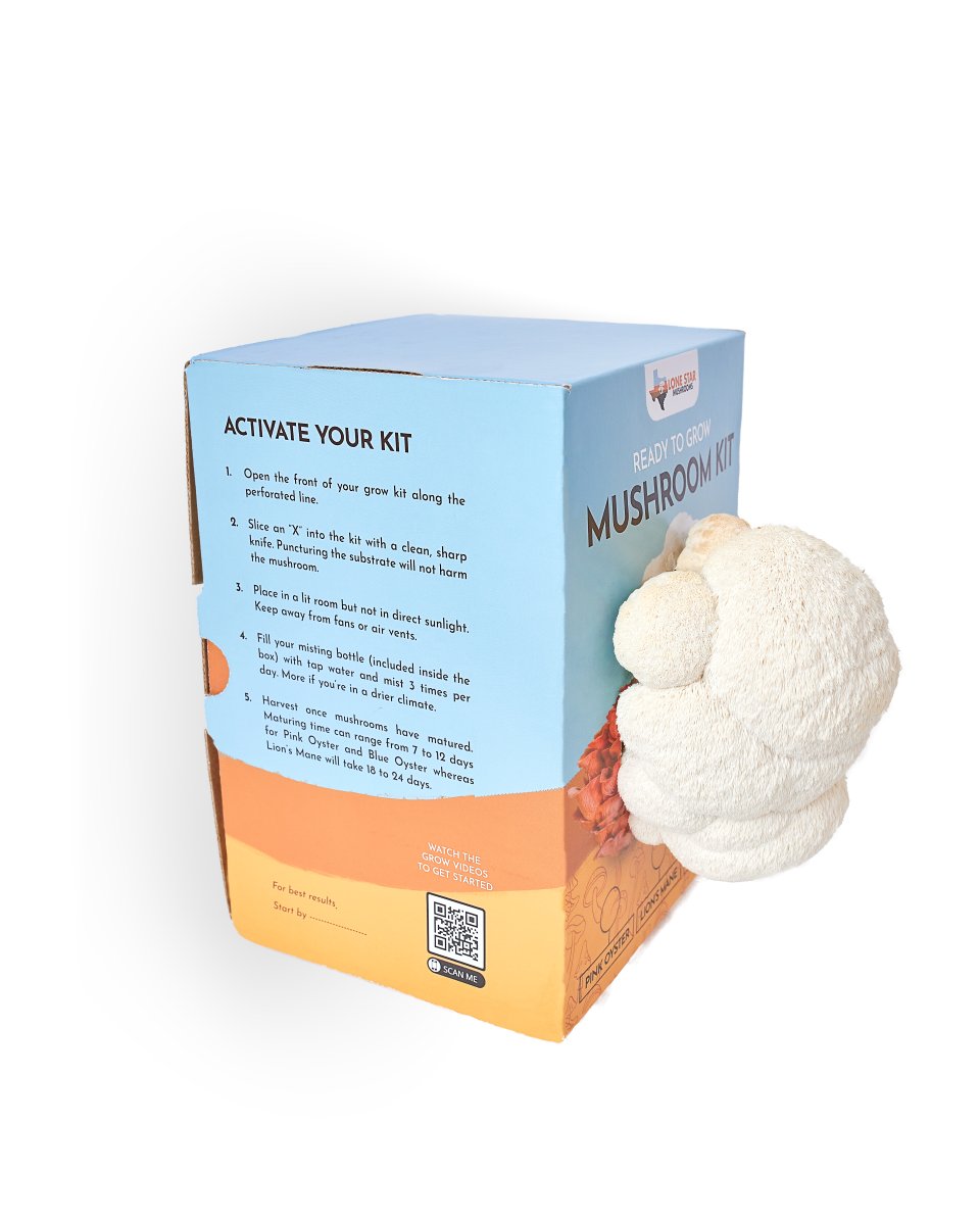 Lion's Mane Mushroom Grow Kit