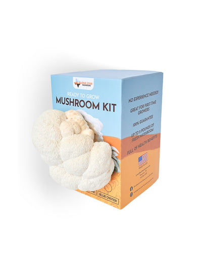 Lion's Mane Mushroom Grow Kit