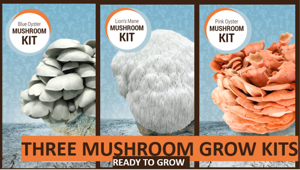 Lion's Mane, Blue Oyster, and Pink Oyster Mushroom Grow Kit Bundle