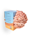 Pink and Blue Oyster Mushroom Grow Kit Bundle