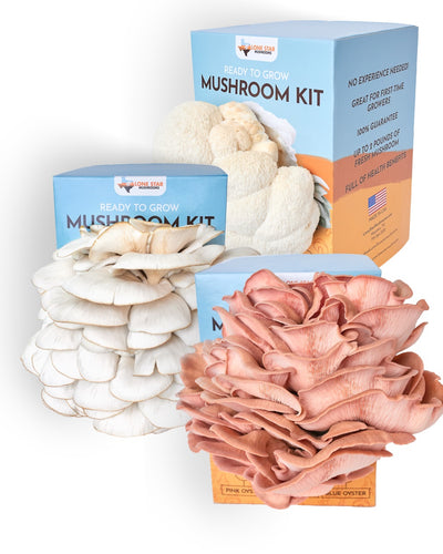 Lion's Mane, Blue Oyster, and Pink Oyster Mushroom Grow Kit Bundle